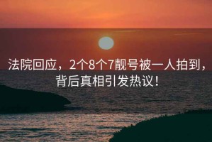 法院回应，2个8个7靓号被一人拍到，背后真相引发热议！