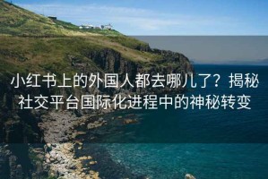 小红书上的外国人都去哪儿了？揭秘社交平台国际化进程中的神秘转变