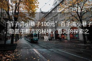 “百子湾小巷子100元”百子湾小巷子，隐匿于都市的秘境，百元的探索之旅