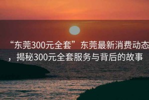 “东莞300元全套”东莞最新消费动态，揭秘300元全套服务与背后的故事