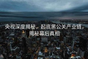 央视深度揭秘，起底黑公关产业链，揭秘幕后真相