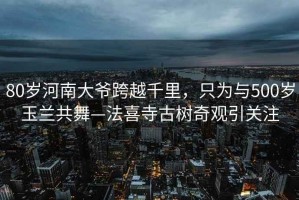 80岁河南大爷跨越千里，只为与500岁玉兰共舞—法喜寺古树奇观引关注