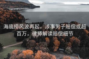 海底捞风波再起，涉事男子赔偿或超百万，律师解读赔偿细节