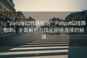 “palipali2线路检测”Palipali2线路检测，全面解析与优化网络连接的秘诀