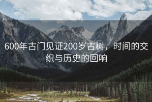 600年古门见证200岁古树，时间的交织与历史的回响