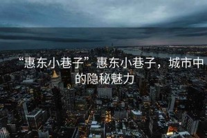 “惠东小巷子”惠东小巷子，城市中的隐秘魅力