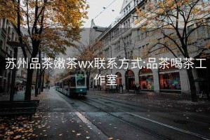 苏州品茶嫩茶wx联系方式:品茶喝茶工作室