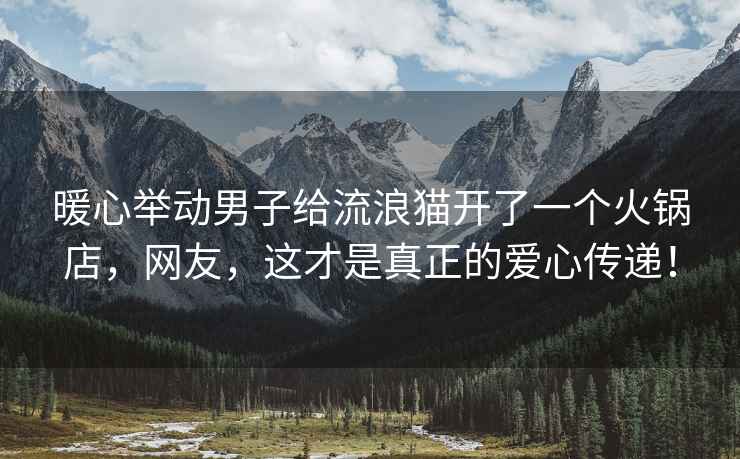 暖心举动男子给流浪猫开了一个火锅店，网友，这才是真正的爱心传递！