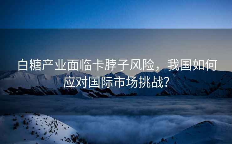 白糖产业面临卡脖子风险，我国如何应对国际市场挑战？