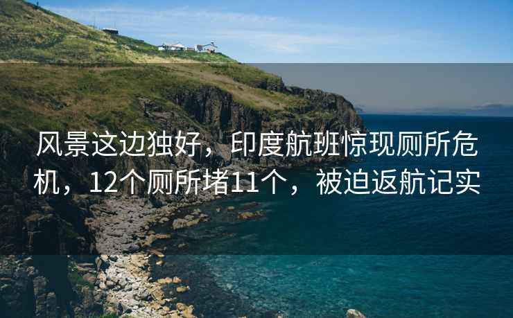 风景这边独好，印度航班惊现厕所危机，12个厕所堵11个，被迫返航记实