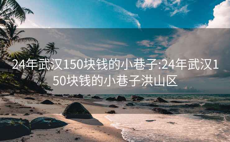 24年武汉150块钱的小巷子:24年武汉150块钱的小巷子洪山区