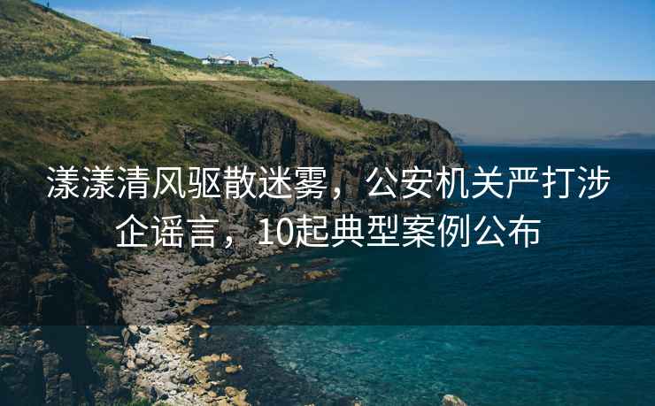 漾漾清风驱散迷雾，公安机关严打涉企谣言，10起典型案例公布