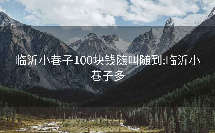 临沂小巷子100块钱随叫随到:临沂小巷子多