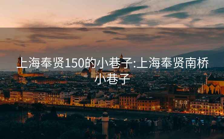 上海奉贤150的小巷子:上海奉贤南桥小巷子