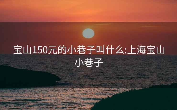 宝山150元的小巷子叫什么:上海宝山小巷子