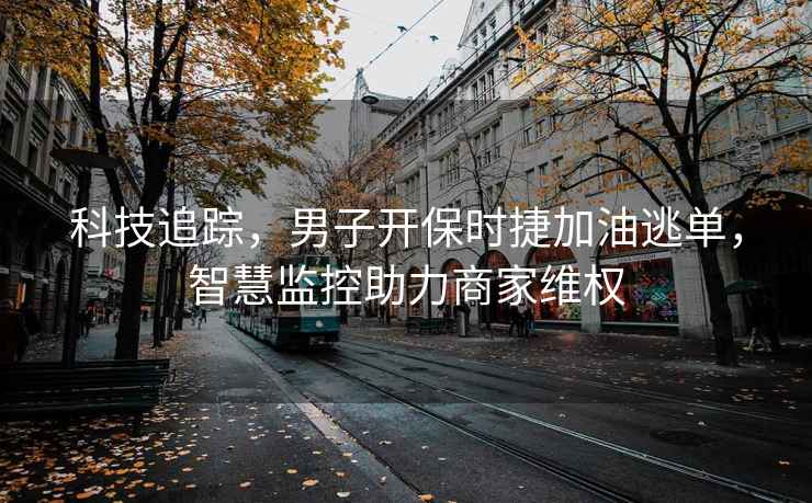 科技追踪，男子开保时捷加油逃单，智慧监控助力商家维权