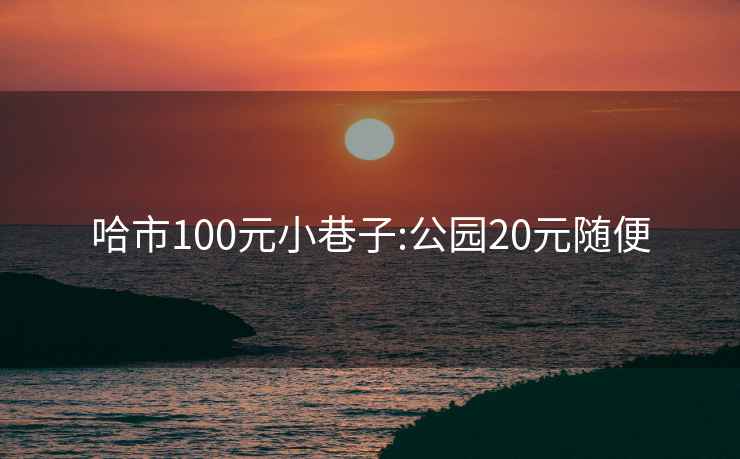 哈市100元小巷子:公园20元随便