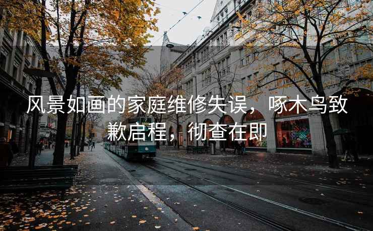 风景如画的家庭维修失误，啄木鸟致歉启程，彻查在即