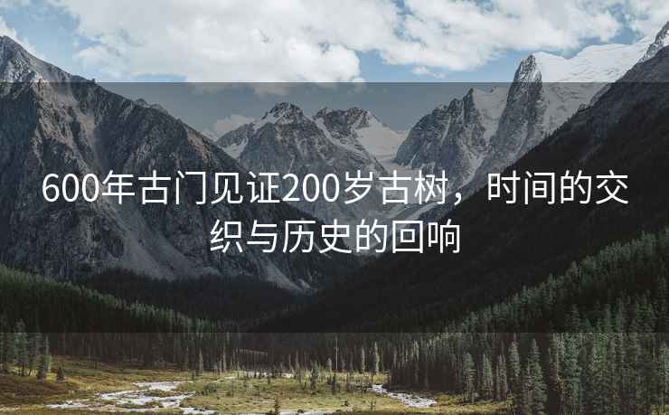 600年古门见证200岁古树，时间的交织与历史的回响