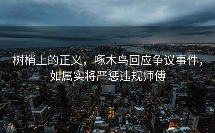 树梢上的正义，啄木鸟回应争议事件，如属实将严惩违规师傅