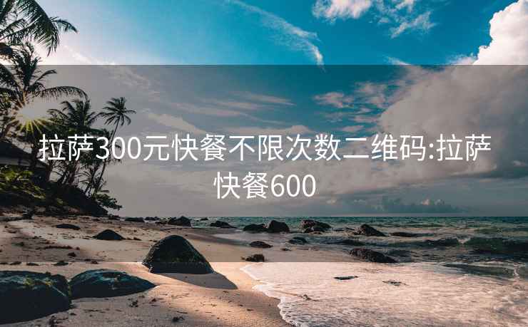 拉萨300元快餐不限次数二维码:拉萨快餐600