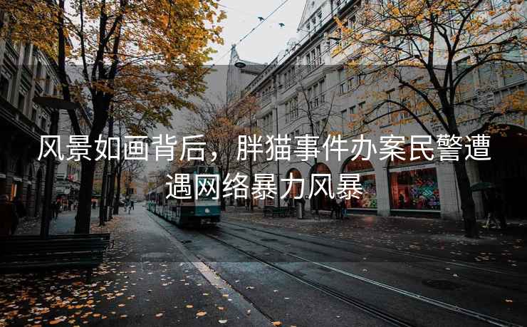 风景如画背后，胖猫事件办案民警遭遇网络暴力风暴