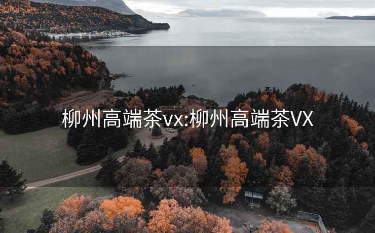 柳州高端茶vx:柳州高端茶VX