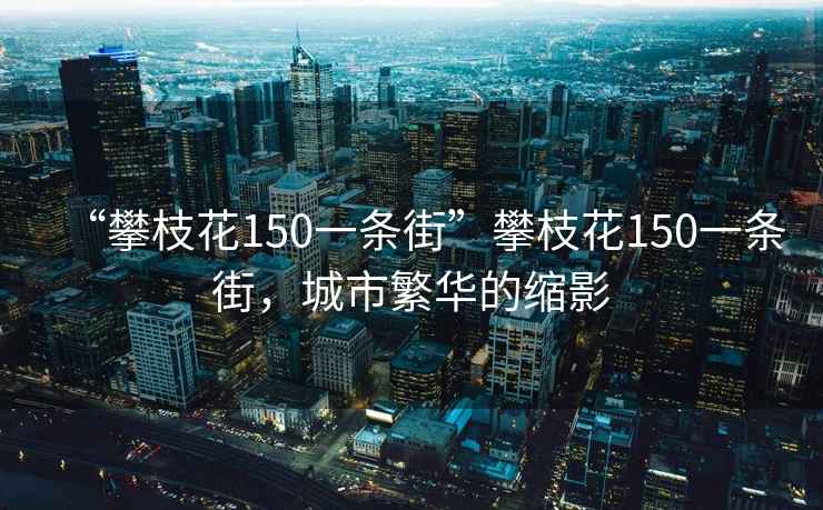 “攀枝花150一条街”攀枝花150一条街，城市繁华的缩影