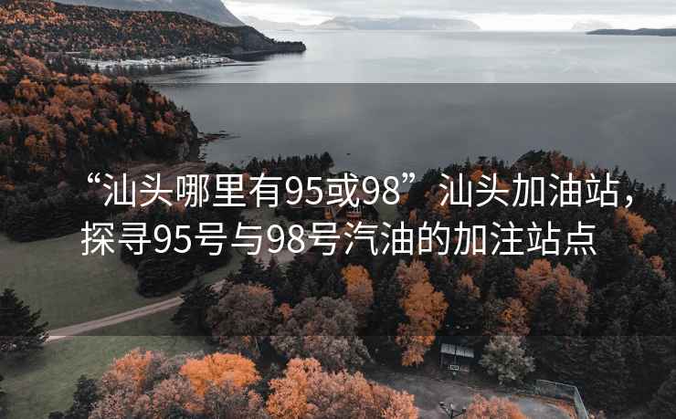 “汕头哪里有95或98”汕头加油站，探寻95号与98号汽油的加注站点