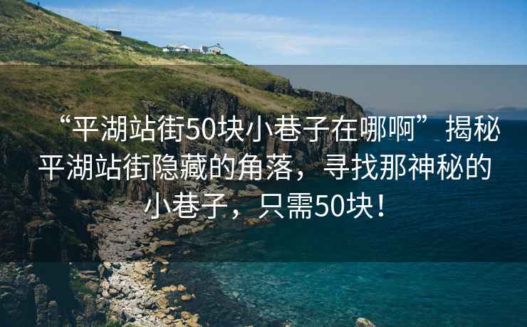 “平湖站街50块小巷子在哪啊”揭秘平湖站街隐藏的角落，寻找那神秘的小巷子，只需50块！