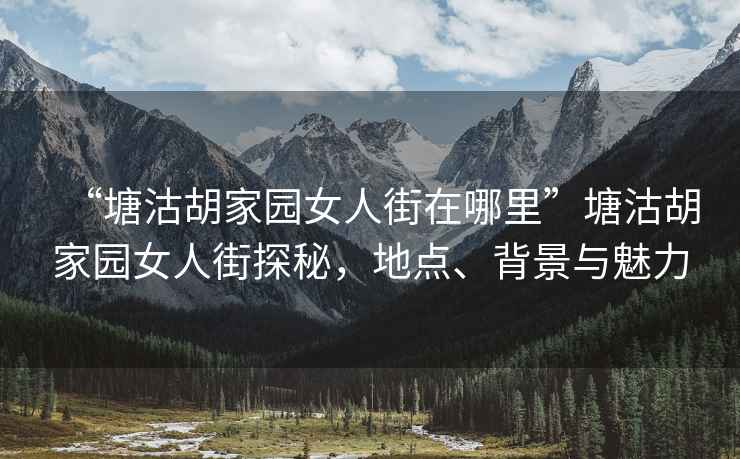 “塘沽胡家园女人街在哪里”塘沽胡家园女人街探秘，地点、背景与魅力