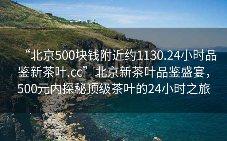 “北京500块钱附近约1130.24小时品鉴新茶叶.cc”北京新茶叶品鉴盛宴，500元内探秘顶级茶叶的24小时之旅