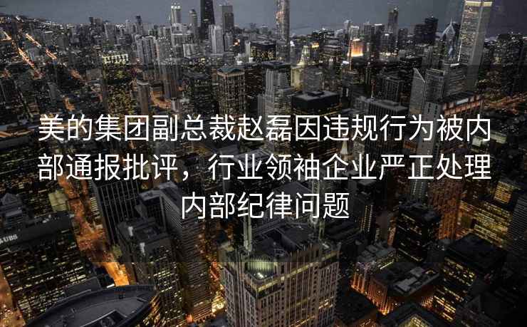 美的集团副总裁赵磊因违规行为被内部通报批评，行业领袖企业严正处理内部纪律问题