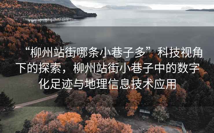 “柳州站街哪条小巷子多”科技视角下的探索，柳州站街小巷子中的数字化足迹与地理信息技术应用