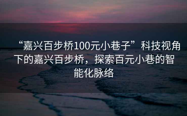 “嘉兴百步桥100元小巷子”科技视角下的嘉兴百步桥，探索百元小巷的智能化脉络