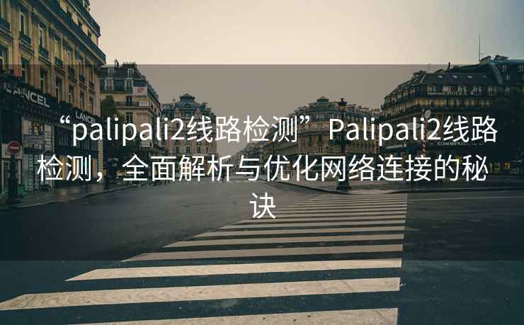 “palipali2线路检测”Palipali2线路检测，全面解析与优化网络连接的秘诀