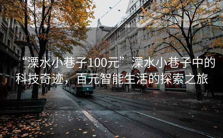 “溧水小巷子100元”溧水小巷子中的科技奇迹，百元智能生活的探索之旅