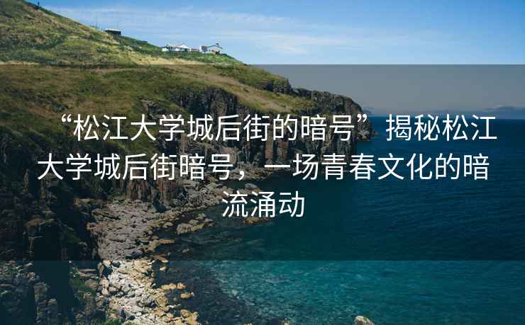 “松江大学城后街的暗号”揭秘松江大学城后街暗号，一场青春文化的暗流涌动