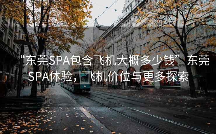 “东莞SPA包含飞机大概多少钱”东莞SPA体验，飞机价位与更多探索