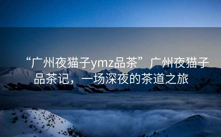 “广州夜猫子ymz品茶”广州夜猫子品茶记，一场深夜的茶道之旅