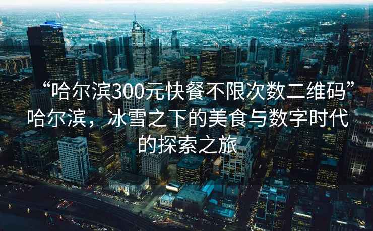 “哈尔滨300元快餐不限次数二维码”哈尔滨，冰雪之下的美食与数字时代的探索之旅