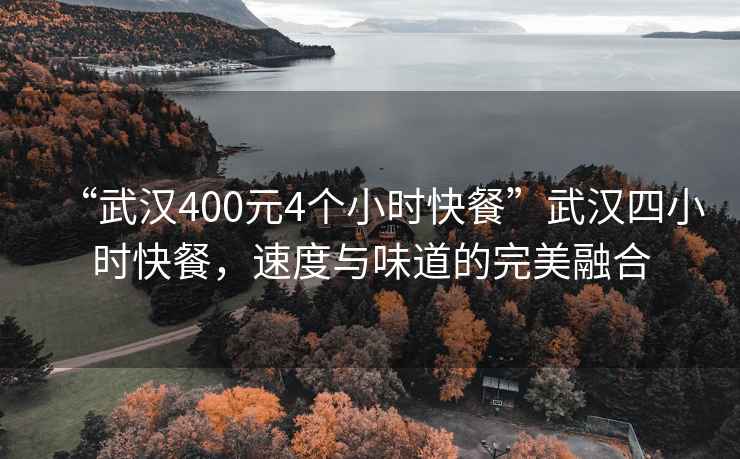 “武汉400元4个小时快餐”武汉四小时快餐，速度与味道的完美融合