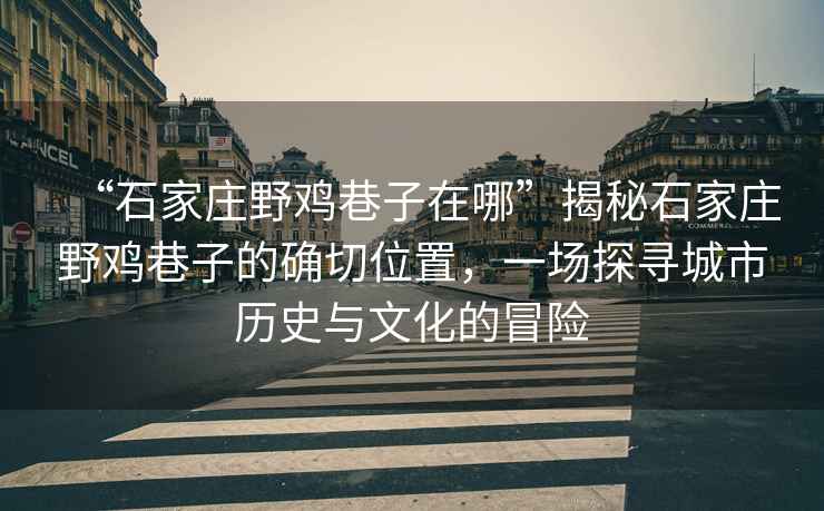 “石家庄野鸡巷子在哪”揭秘石家庄野鸡巷子的确切位置，一场探寻城市历史与文化的冒险