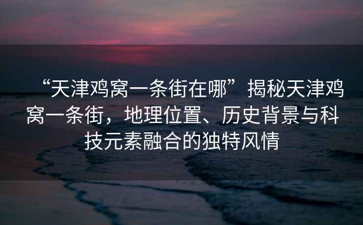 “天津鸡窝一条街在哪”揭秘天津鸡窝一条街，地理位置、历史背景与科技元素融合的独特风情