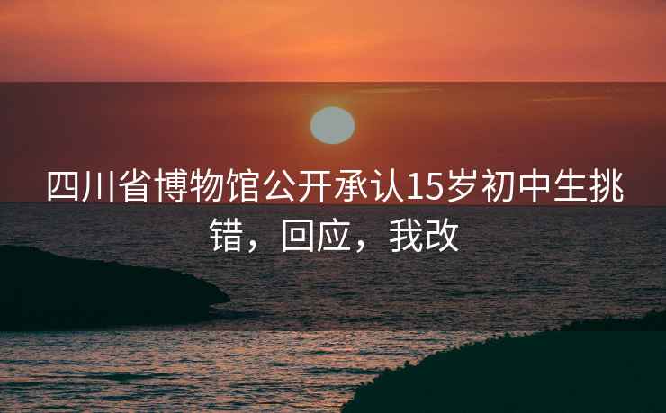 四川省博物馆公开承认15岁初中生挑错，回应，我改