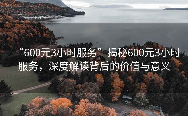 “600元3小时服务”揭秘600元3小时服务，深度解读背后的价值与意义