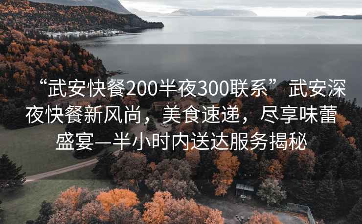 “武安快餐200半夜300联系”武安深夜快餐新风尚，美食速递，尽享味蕾盛宴—半小时内送达服务揭秘