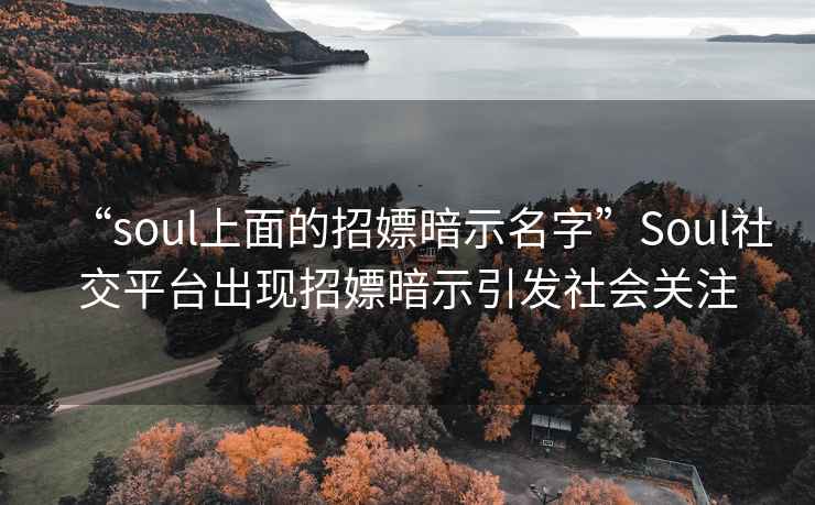 “soul上面的招嫖暗示名字”Soul社交平台出现招嫖暗示引发社会关注